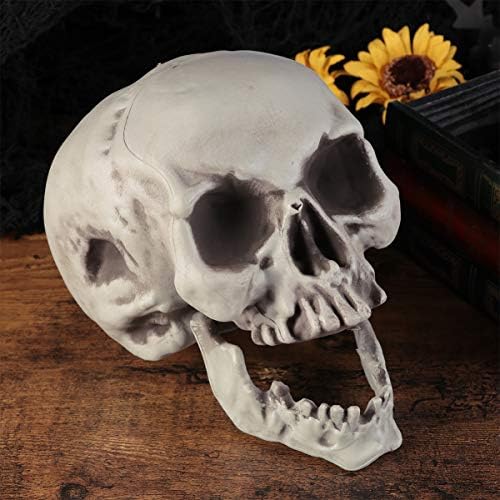 Amosfun 6PCS Halloween Skeleton Skull Head Bone Model Props