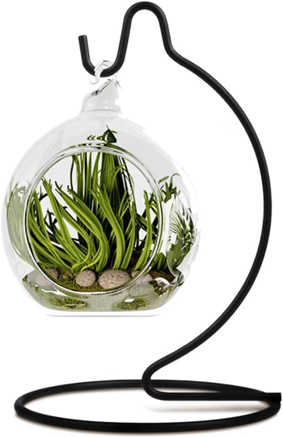 Fosinz CXLE Ornament Display Stand Hook Holder Black 63x35