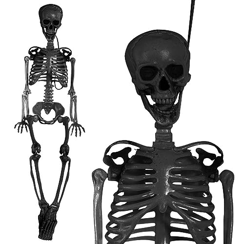 Realistic 3ft Halloween Skeleton Prop with Movable Joints