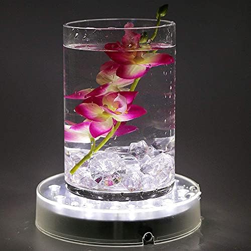 LARDUX 6 Inch LED Display Pedestal Light Stand