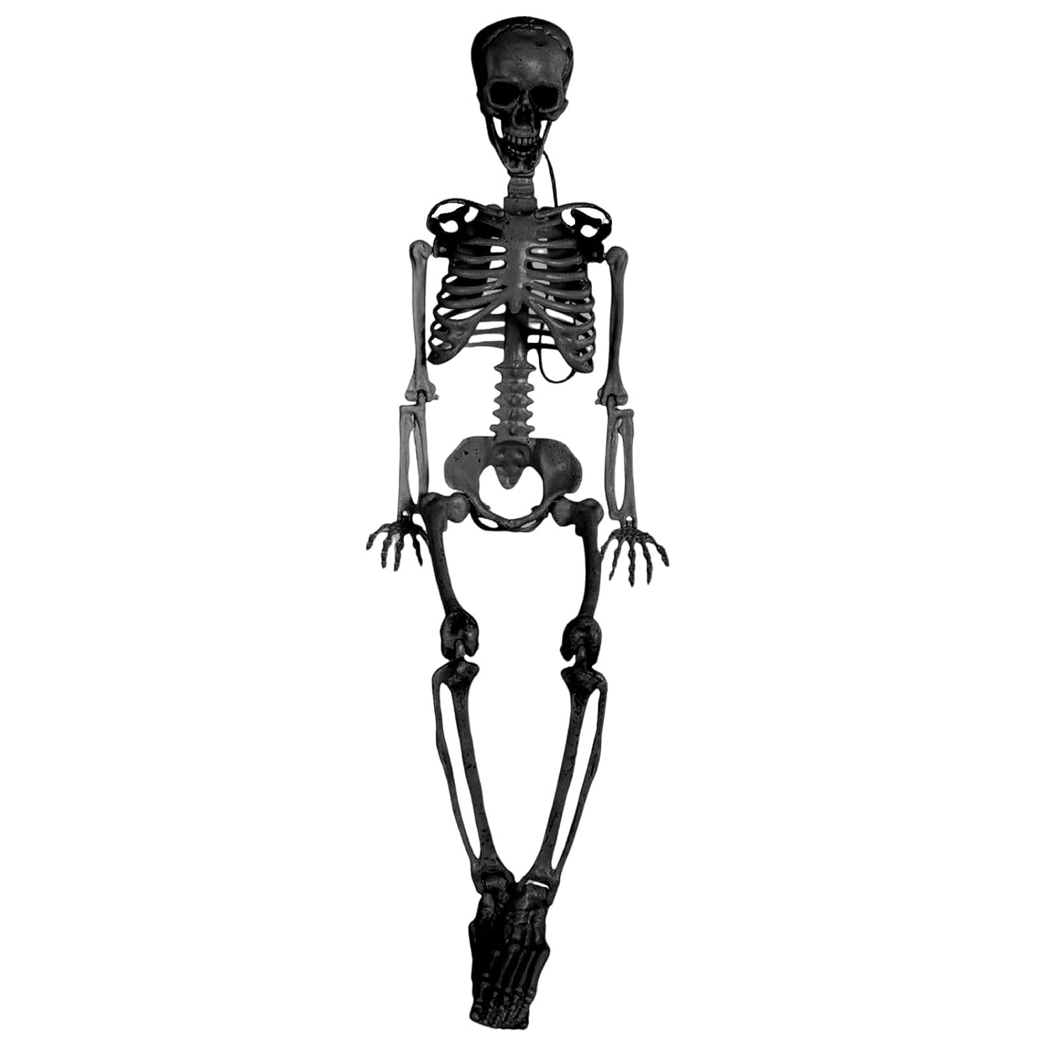 Realistic 3ft Halloween Skeleton Prop with Movable Joints