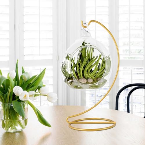 Fosinz Hanging Display Stand for Glass Globe and Air Plant Terrarium