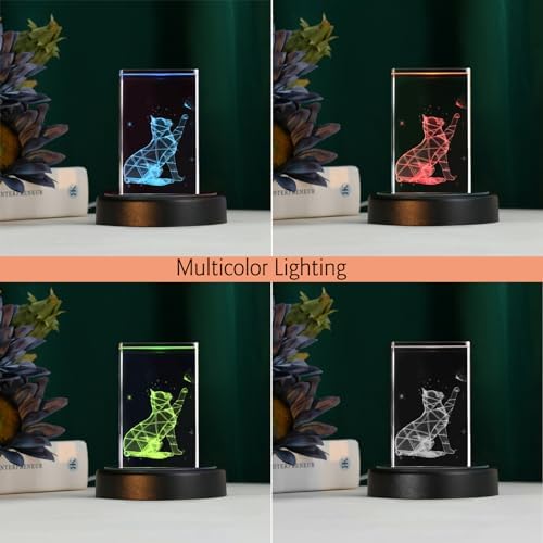 IFOLAINA Multicolor LED Light Base Display Stand Pedestal