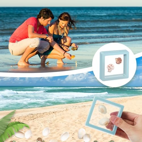 Juexica 9 Pcs Seashell Holder Set Light Blue Display Cases