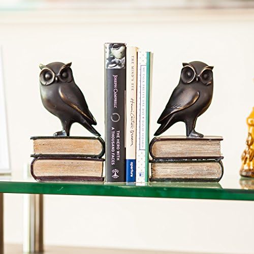 Danya B Owl Bookends Decorative Rustic Bookshelf Decor - Owls Bookend Set for Heavy Books - Bronze Finish