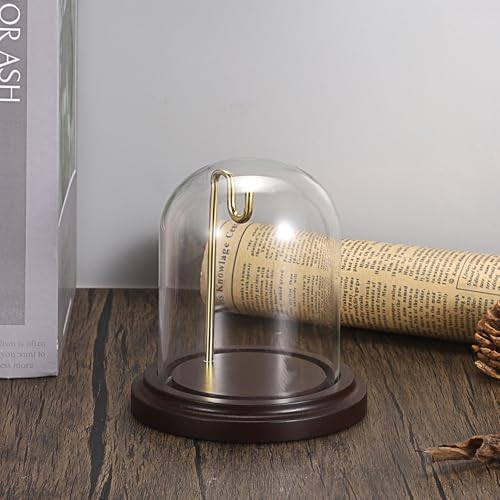 JUXYES Clear Watch Display Dome Cloche With Hook and Wooden Base