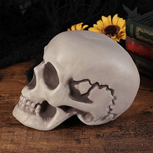 Amosfun 6PCS Halloween Skeletons Skull Head Bone Model Props