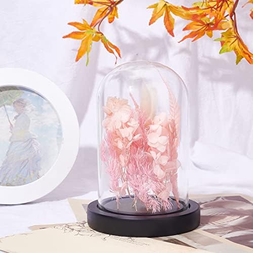 NBEADS Eternal Flower Glass Cloche with Wood Base