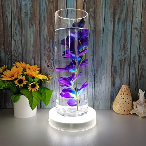 LARDUX 6 Inch LED Display Pedestal Light Stand