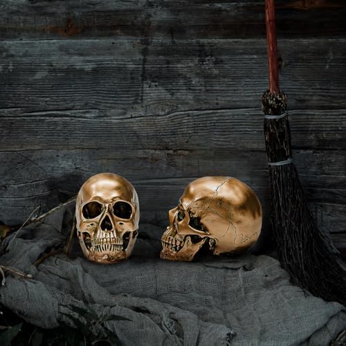 ECYC 11 Resin Human Skull Model Life Size Bronze Halloween Decor