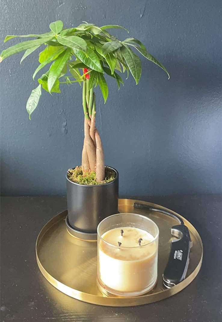 Gold Stainless Steel Round Decorative Tray