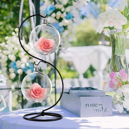 Fosinz CXLE Hanging Ornament Stand Iron Frame for Glass Globe Air Plant Terrarium