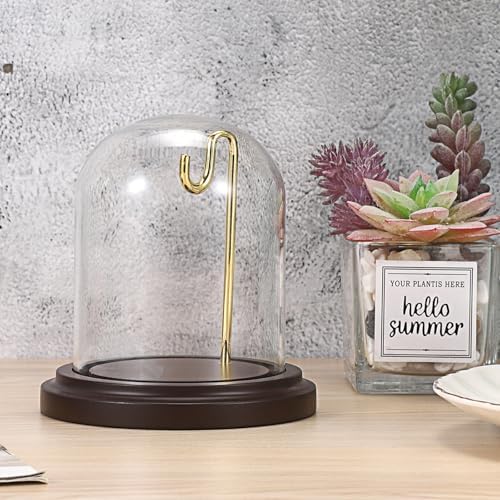 JUXYES Clear Watch Display Dome Cloche With Hook and Wooden Base