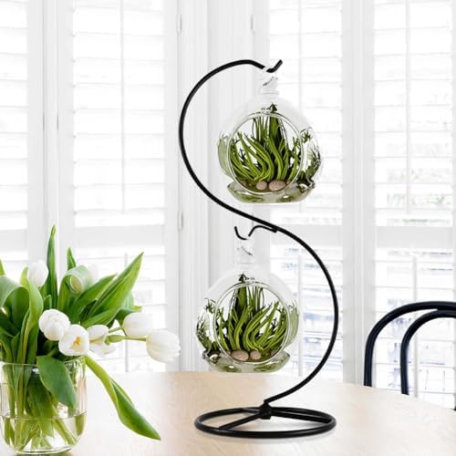 Fosinz CXLE Hanging Ornament Stand Iron Frame for Glass Globe Air Plant Terrarium