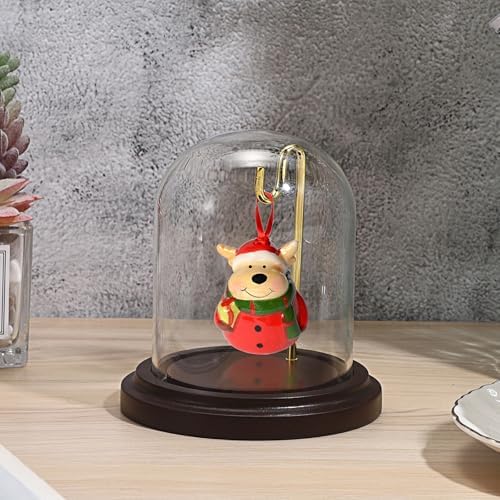 JUXYES Clear Watch Display Dome Cloche With Hook and Wooden Base