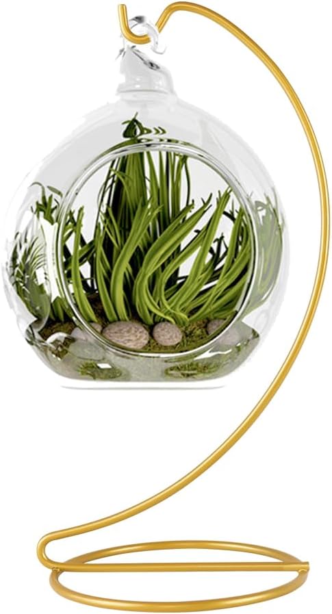 Fosinz Hanging Display Stand for Glass Globe and Air Plant Terrarium