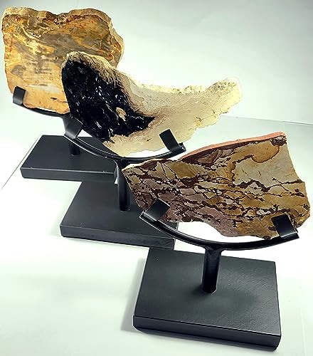 62 Inch Display Stand for Slab Slice Fossil Flat Minerals Black One Arm Two Prong Holder