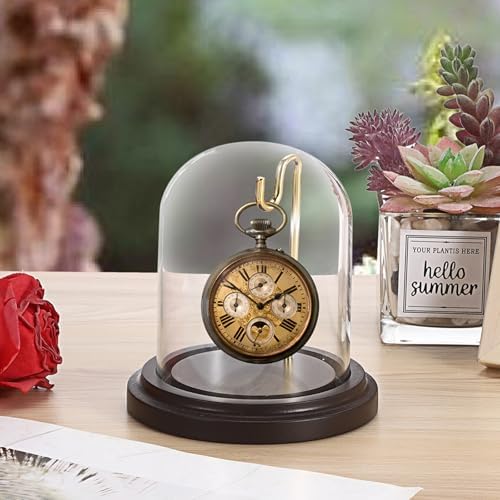 JUXYES Clear Watch Display Dome Cloche With Hook and Wooden Base