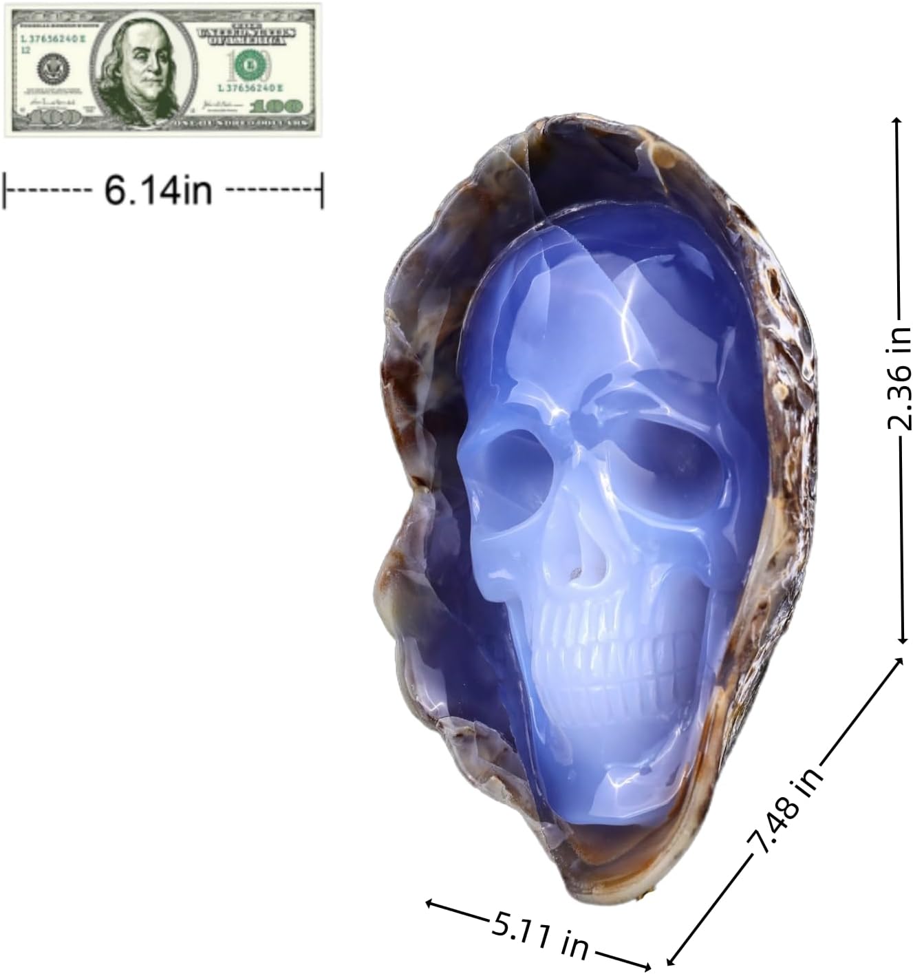 Crystal Skull Head Sculpture - Natural Blue Chalcedony Decor