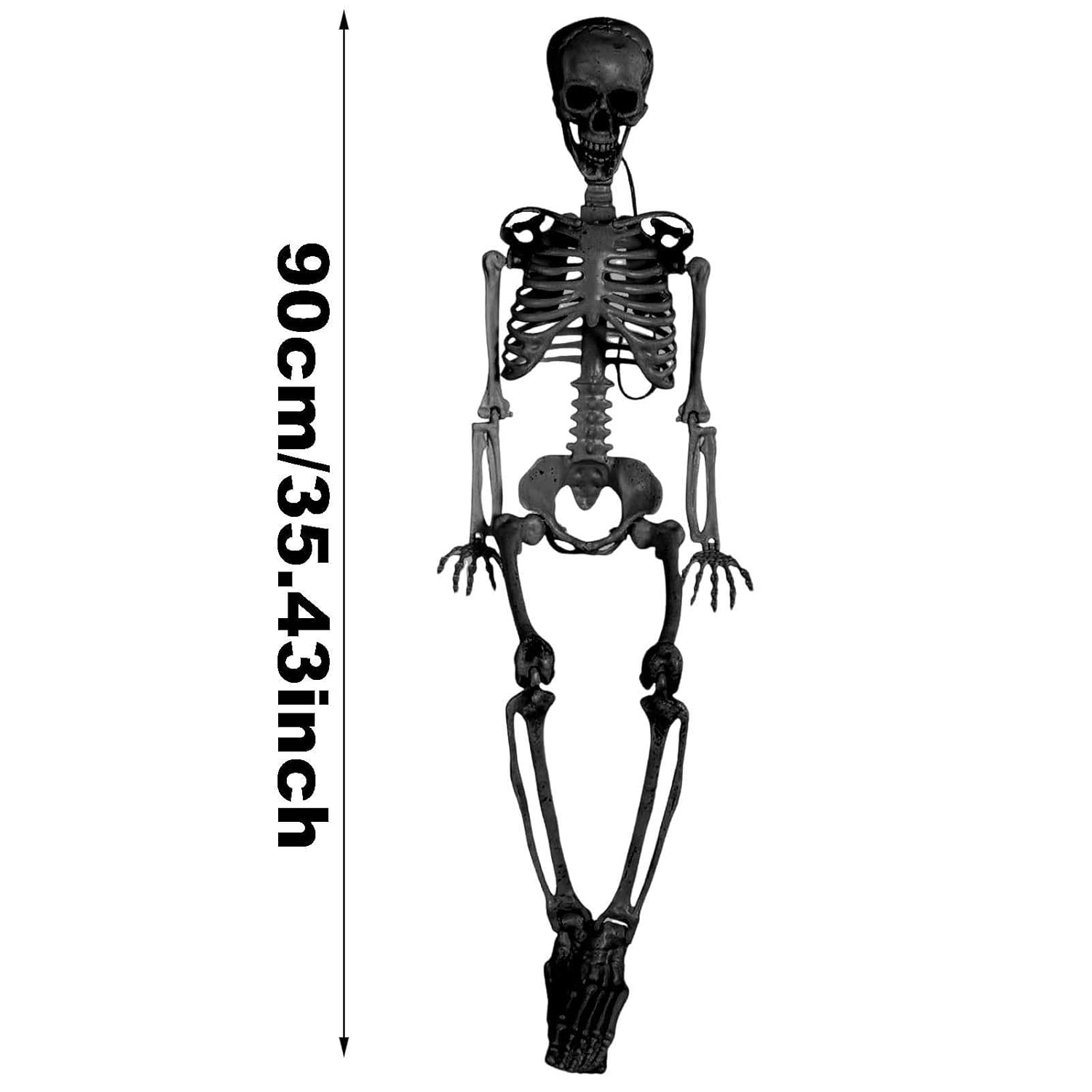 Realistic 3ft Halloween Skeleton Prop with Movable Joints