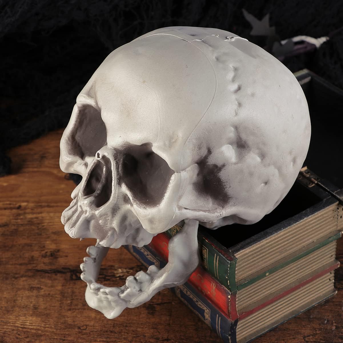 Amosfun 6PCS Halloween Skeleton Skull Head Bone Model Props