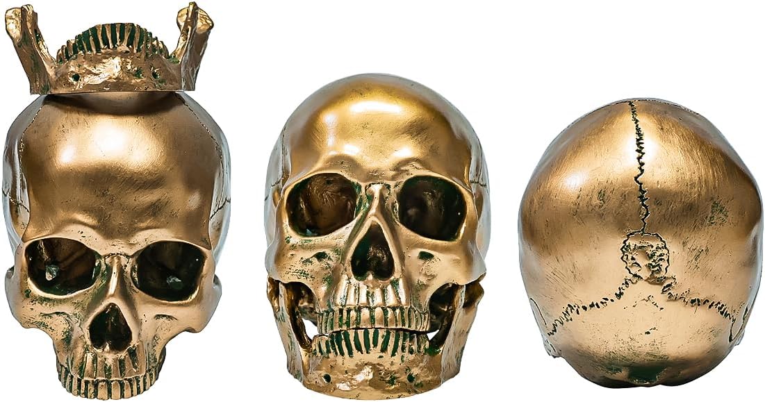 ECYC 11 Resin Human Skull Model Life Size Bronze Halloween Decor