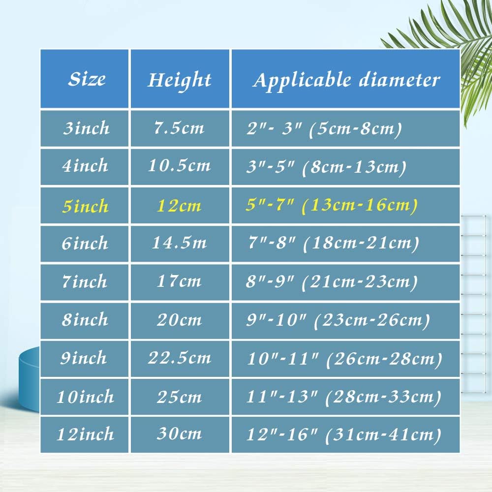 Artliving 5 Inch Black 12pcs Set Plastic Easels Display Stands 1