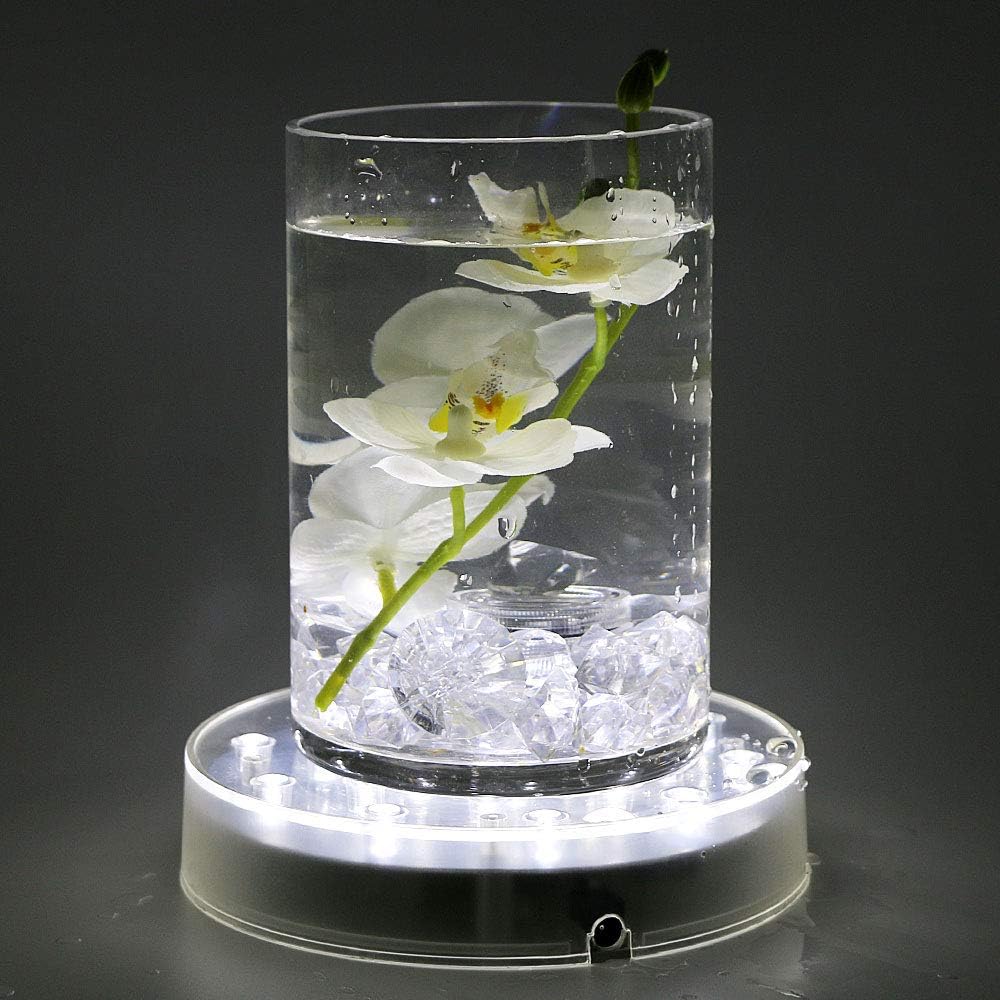 LARDUX 6 Inch LED Display Pedestal Light Stand