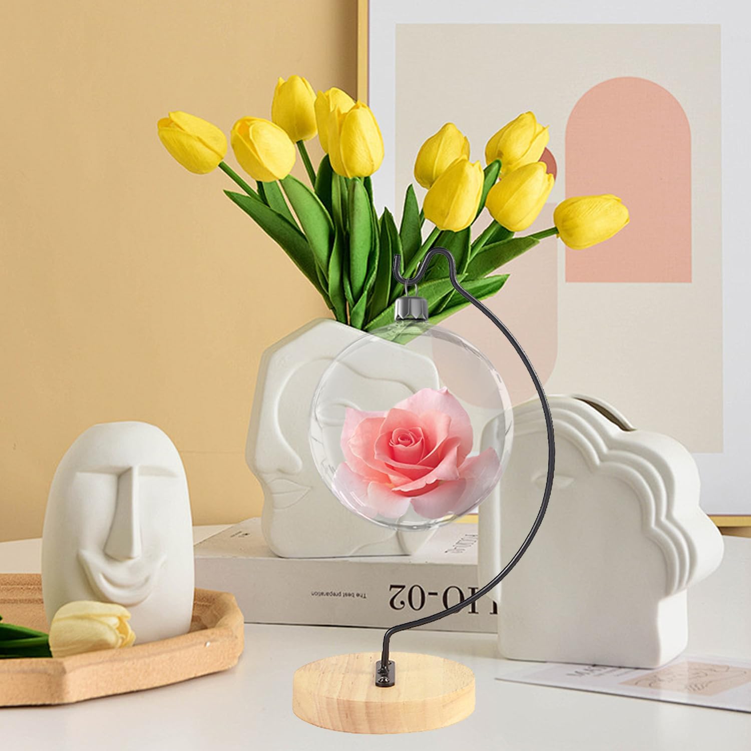 YY YEARCHY Semicircular Display Stand for Air Plants and Decor