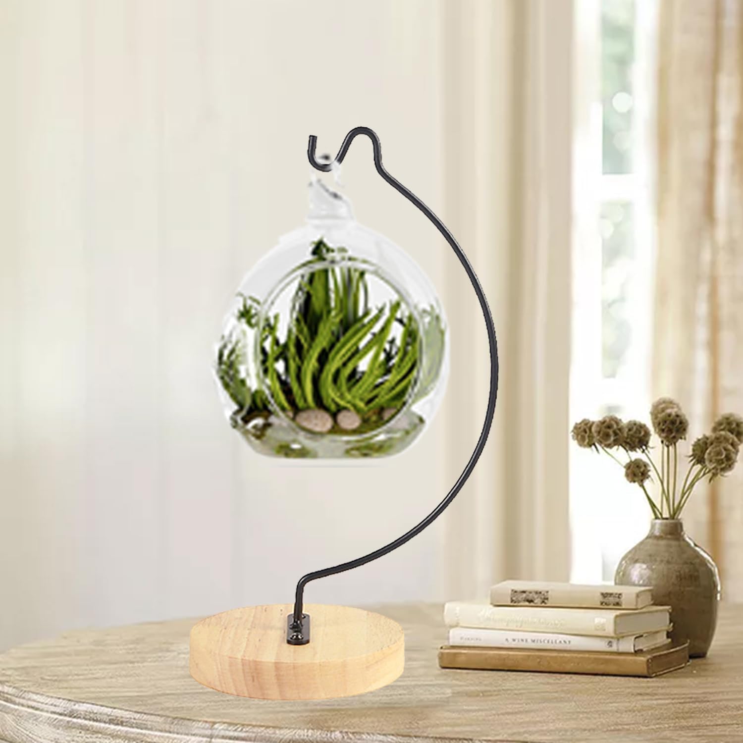 YY YEARCHY Semicircular Display Stand for Air Plants and Decor