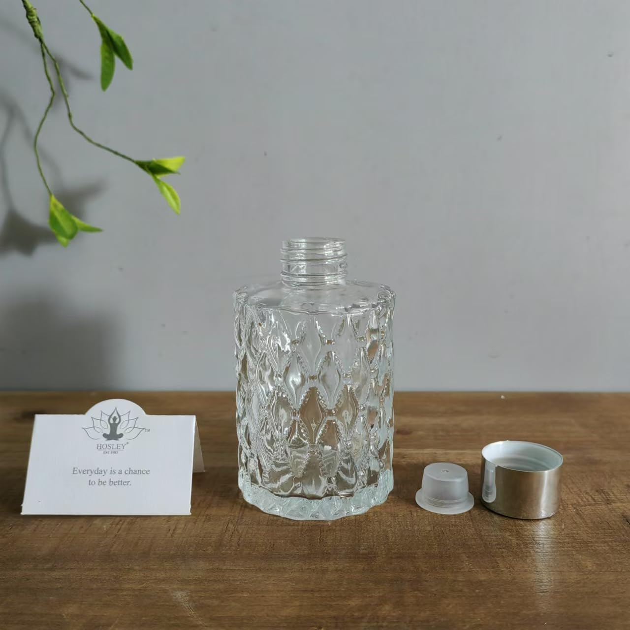 Hosley Mid Century Modern Glass Diffuser Set of 4 - 4 Inch High