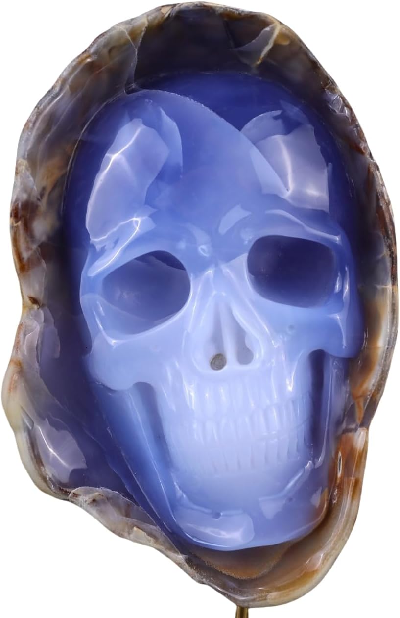 Crystal Skull Head Sculpture - Natural Blue Chalcedony Decor