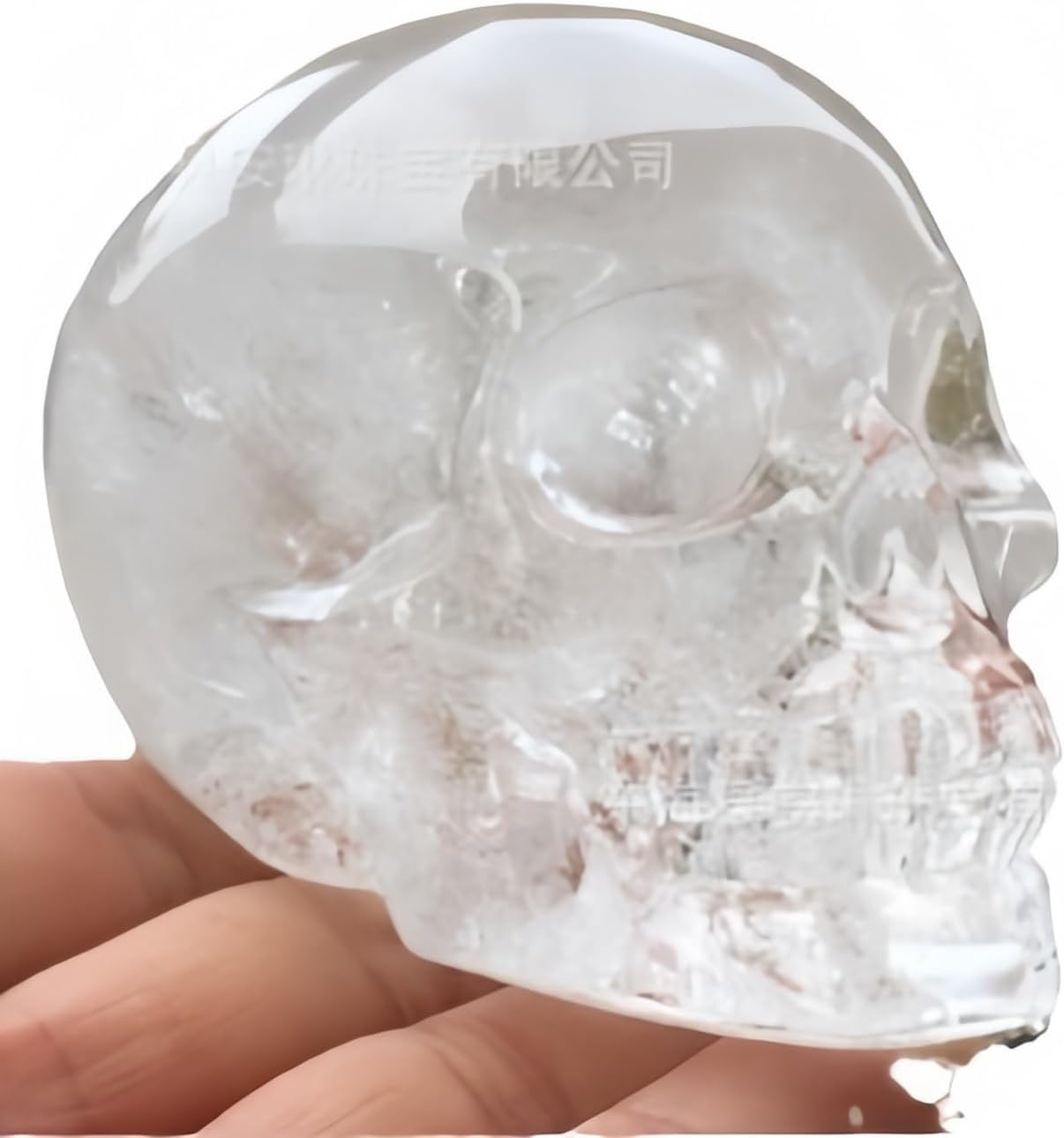 Natural Quartz Crystal Skull Head Sculpture Decor