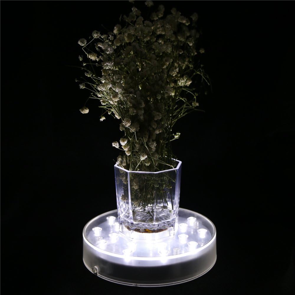 LARDUX 6 Inch LED Display Pedestal Light Stand