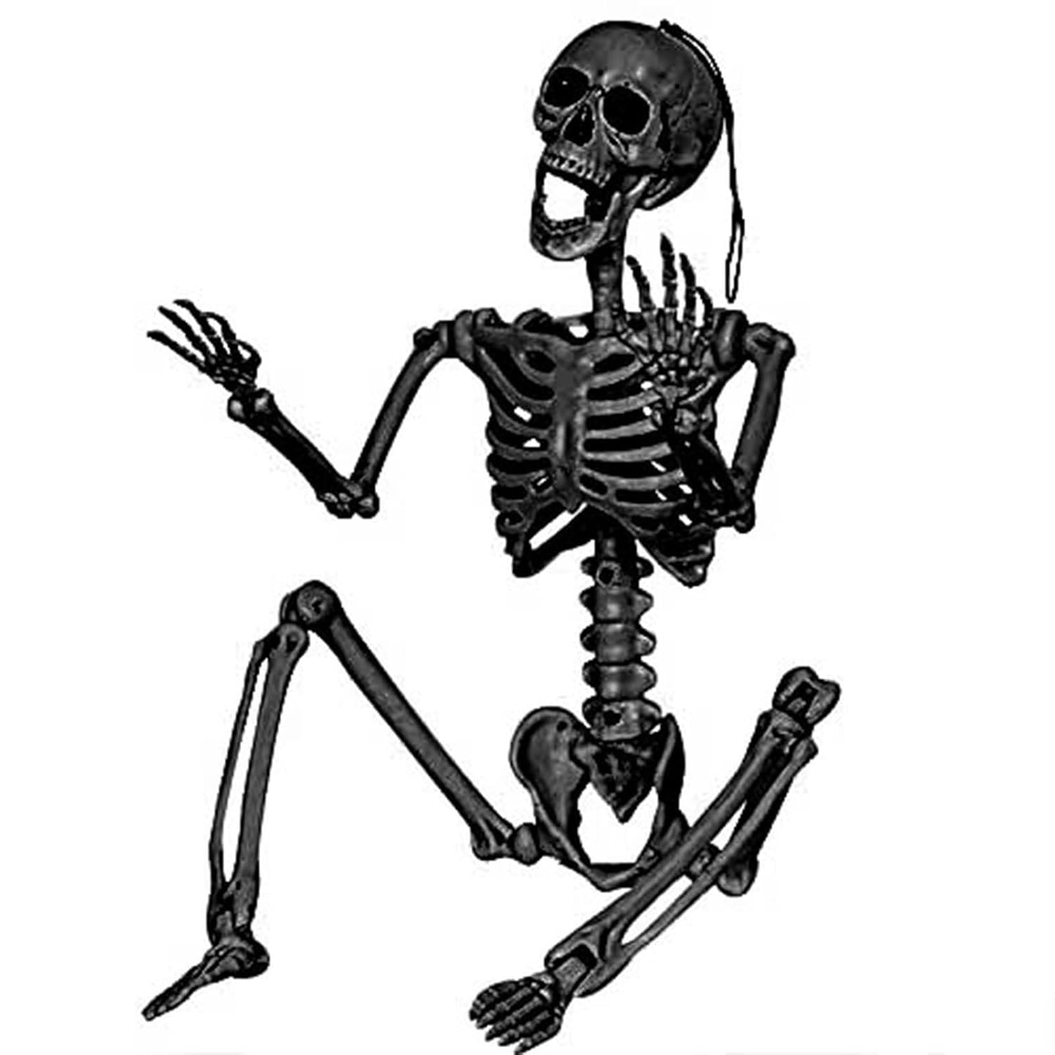 Realistic 3ft Halloween Skeleton Prop with Movable Joints