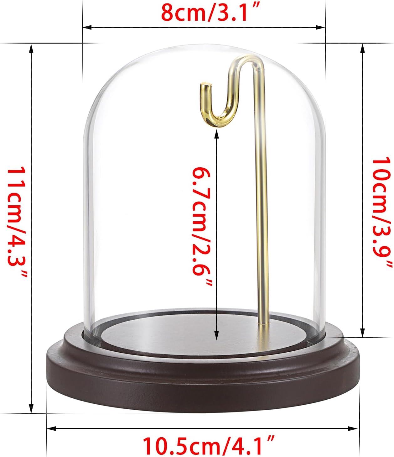 JUXYES Clear Watch Display Dome Cloche With Hook and Wooden Base
