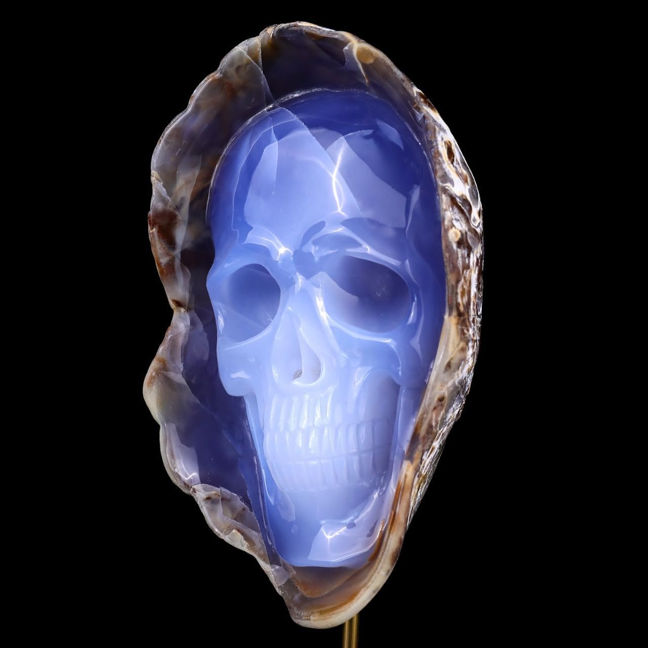 Crystal Skull Head Sculpture - Natural Blue Chalcedony Decor