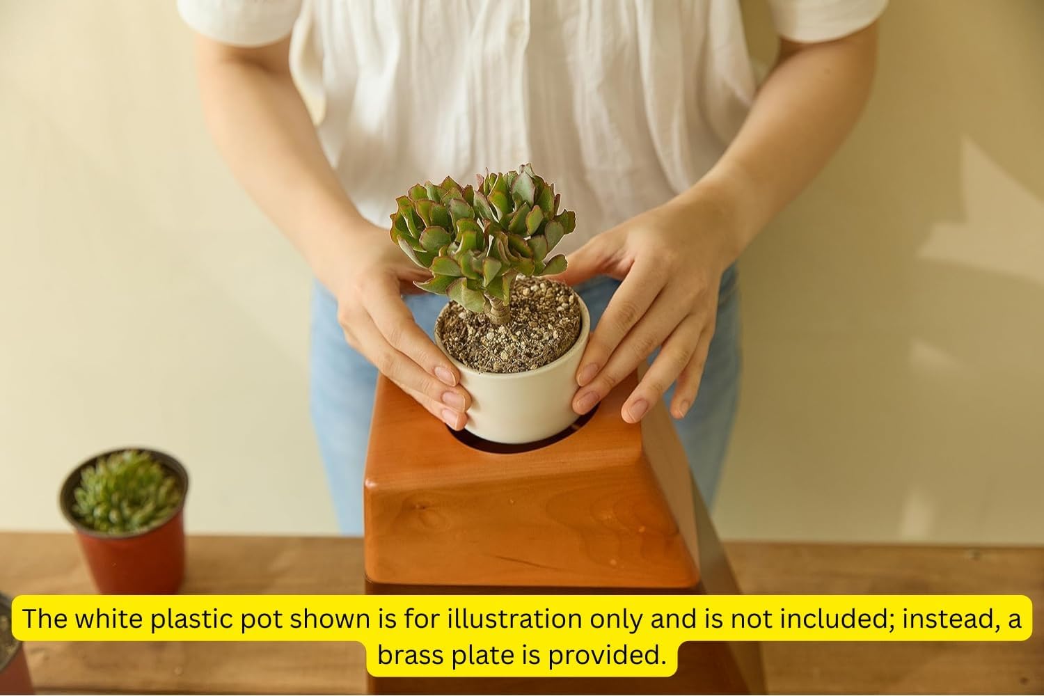 Handcrafted Wooden Cremation Urn with Magnetic Lid - Large Decorative Ash Urn for Home Use