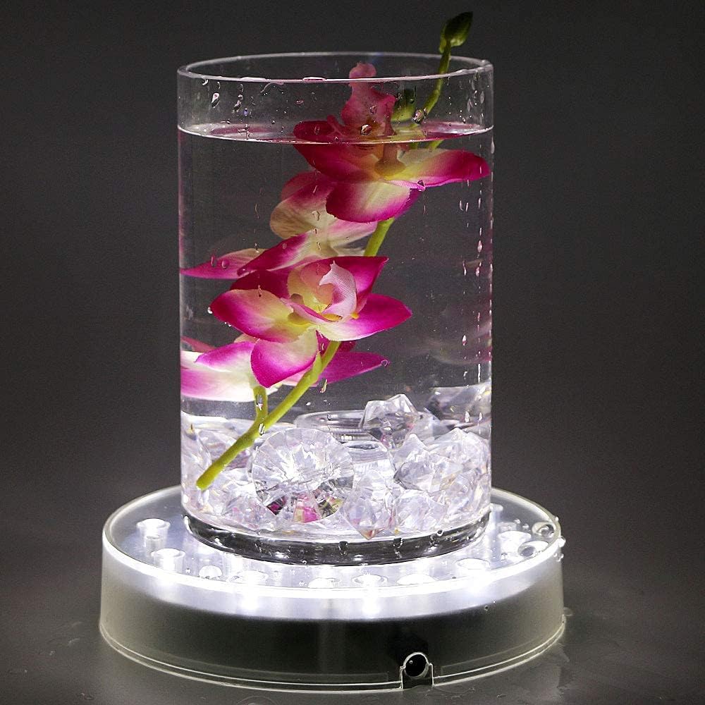 LARDUX 6 Inch LED Display Pedestal Light Stand