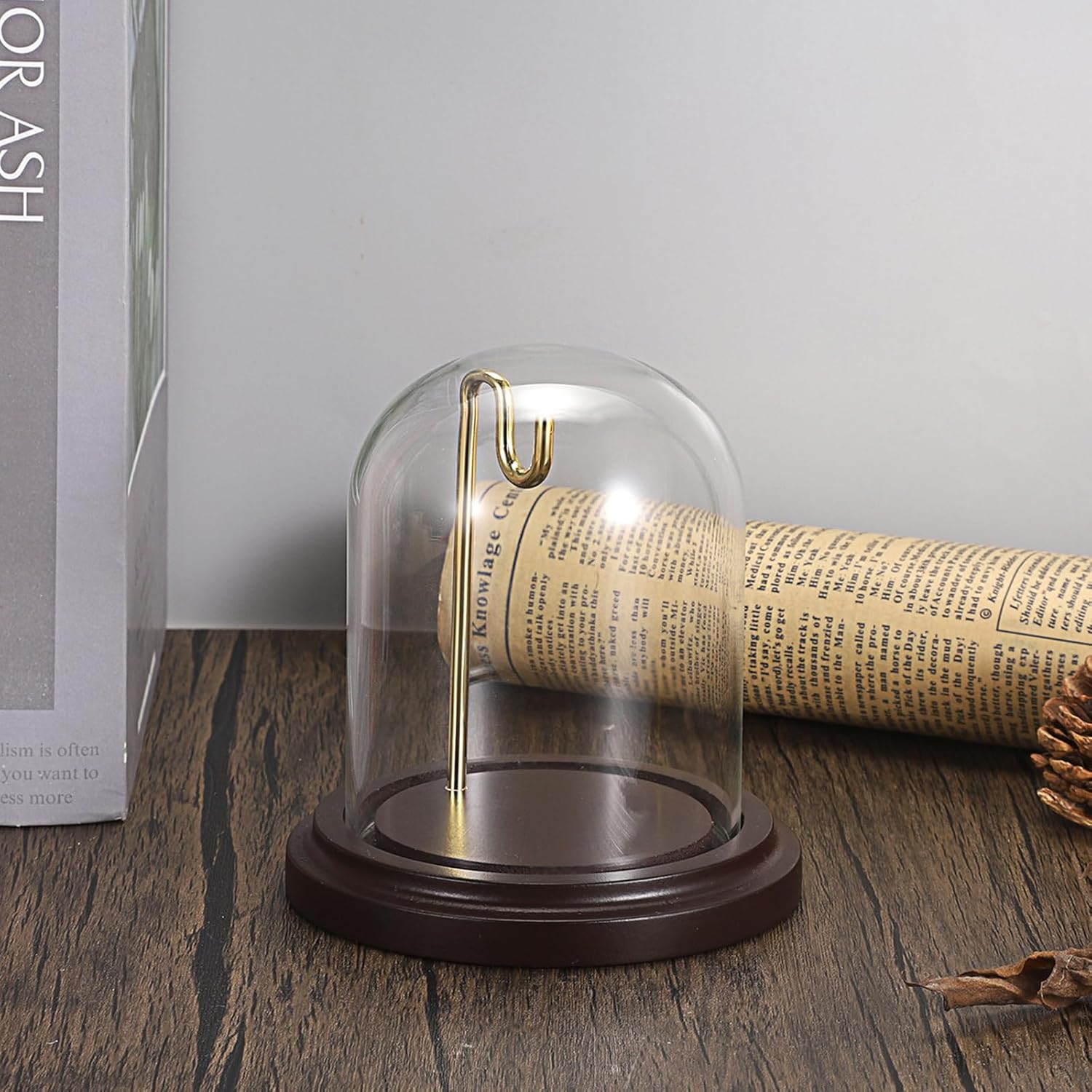 JUXYES Clear Watch Display Dome Cloche With Hook and Wooden Base