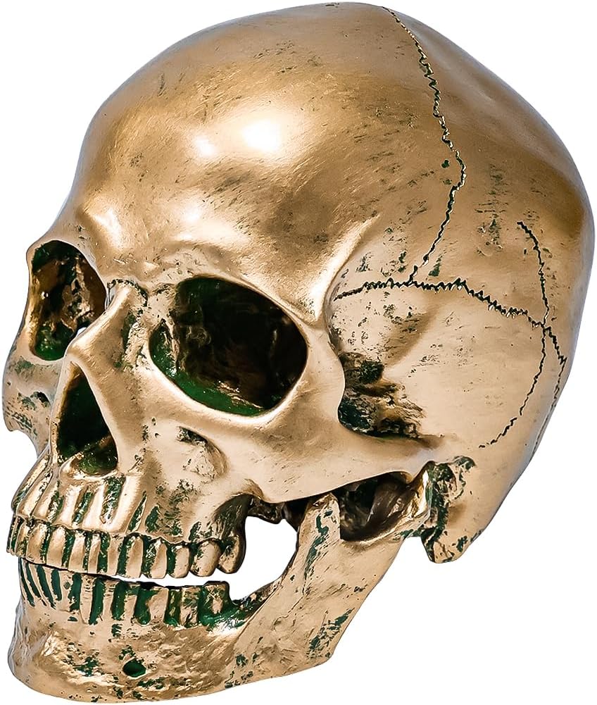 ECYC 11 Resin Human Skull Model Life Size Bronze Halloween Decor