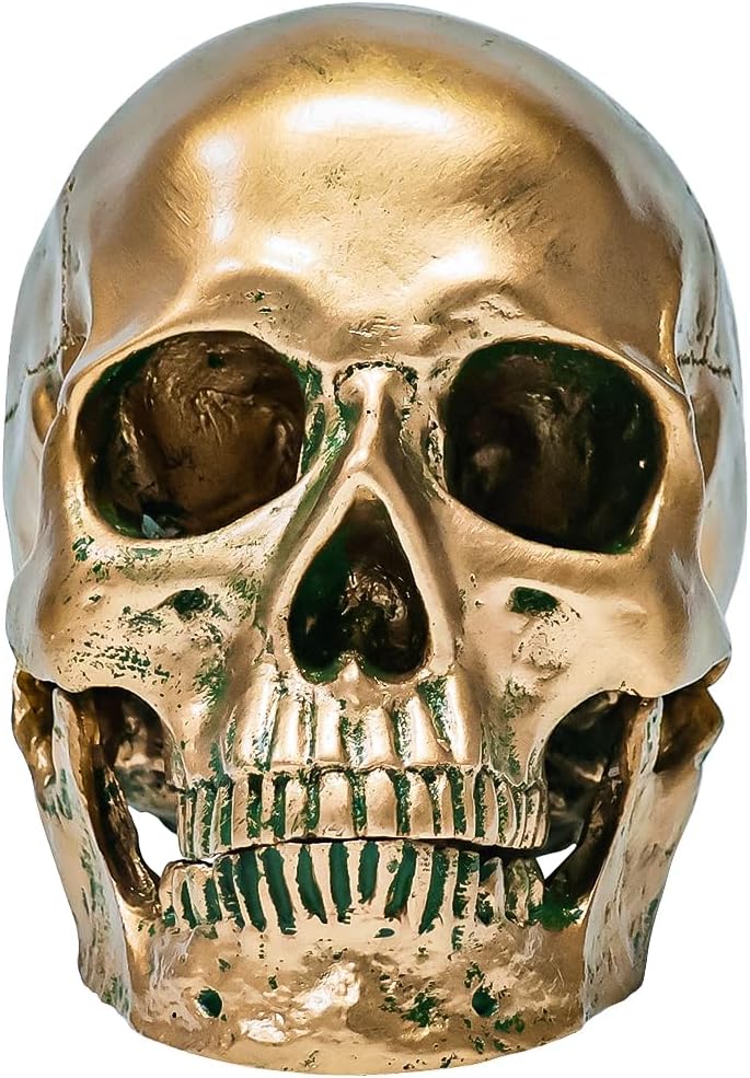 ECYC 11 Resin Human Skull Model Life Size Bronze Halloween Decor