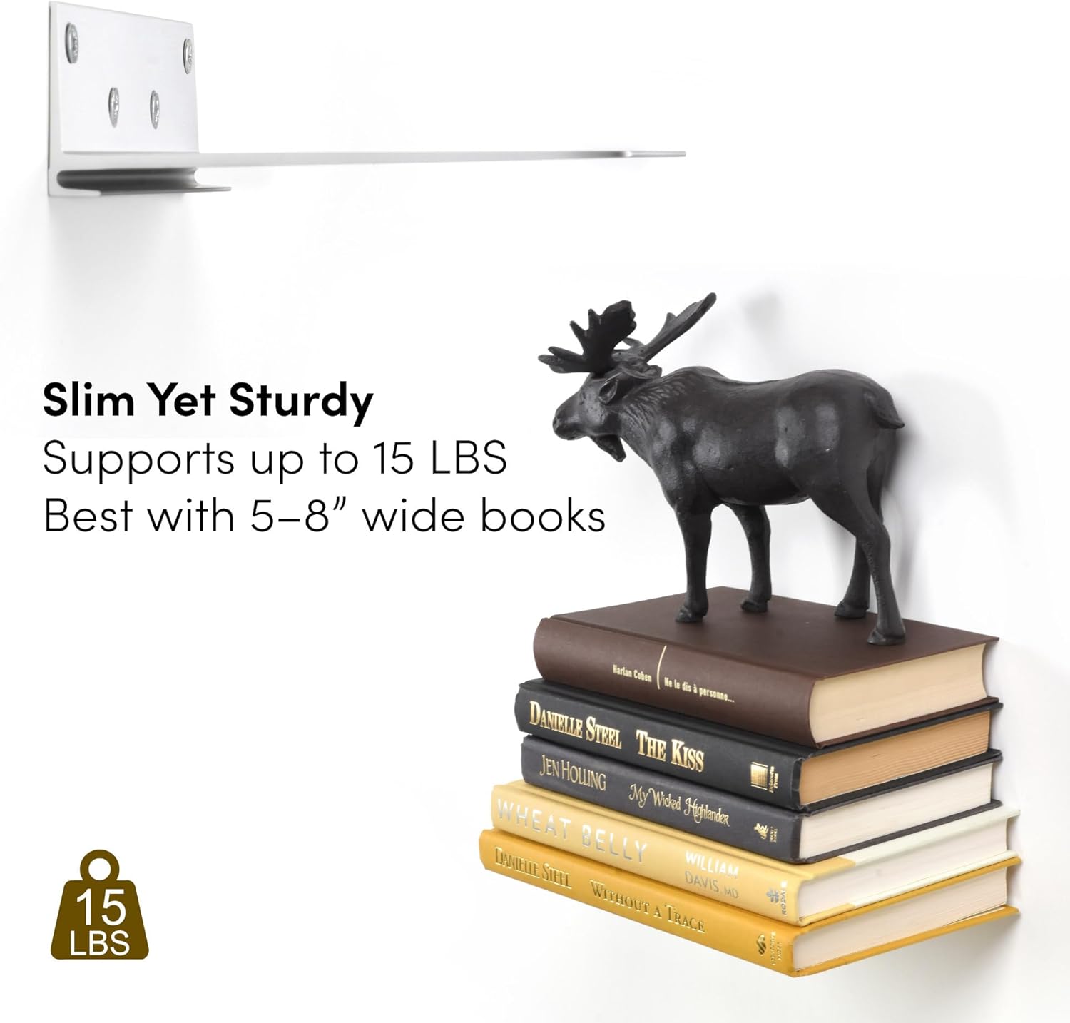 Floating Invisible Bookshelf Wall Mounted Set of 4 - Aluminum - Convert Books into Shelves