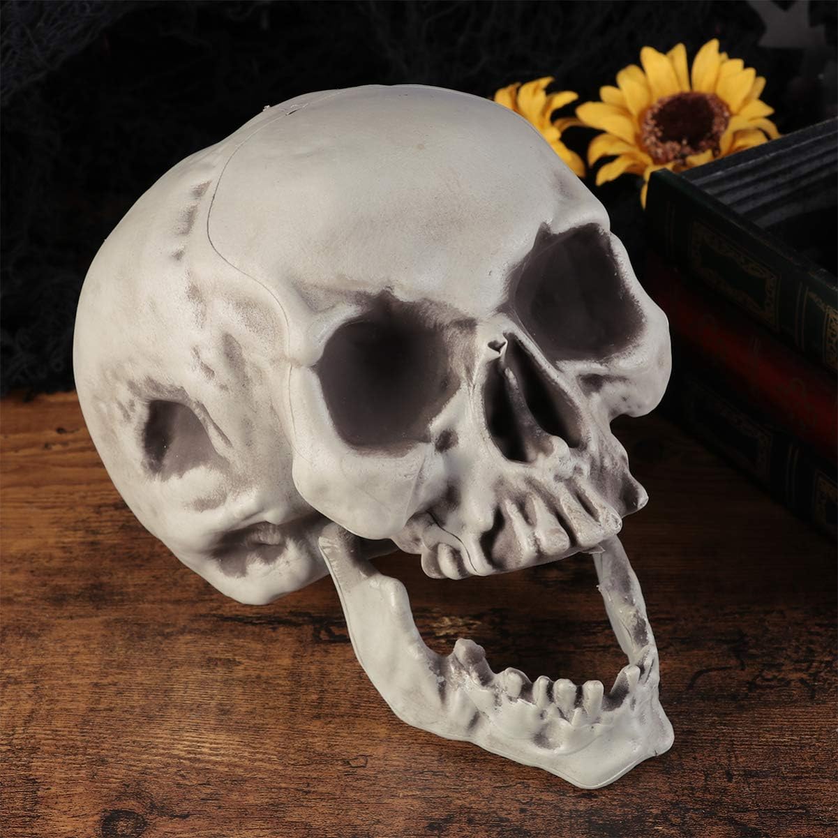 Amosfun 6PCS Halloween Skeleton Skull Head Bone Model Props