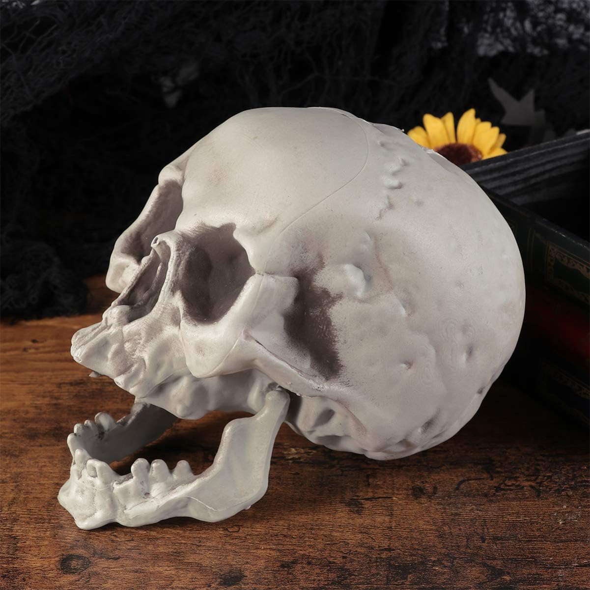 Amosfun 6PCS Halloween Skeleton Skull Head Bone Model Props
