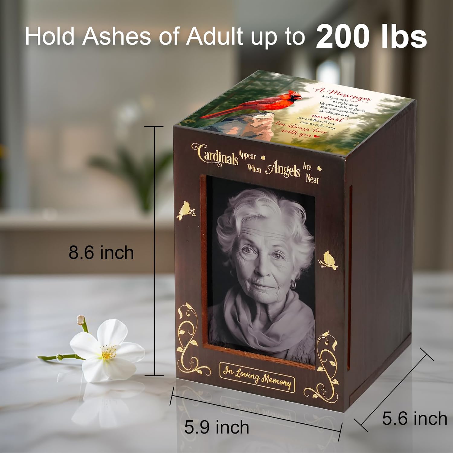 Wooden Cremation Urn with Photo Frame for Adult Ashes Cardinal Design