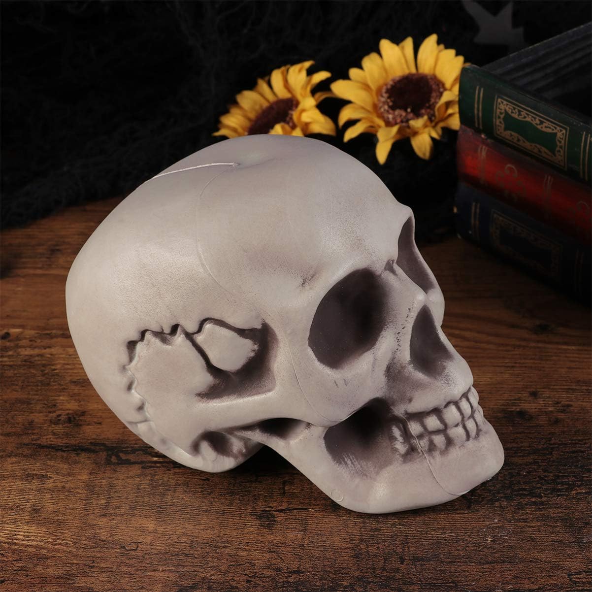 Amosfun 6PCS Halloween Skeletons Skull Head Bone Model Props