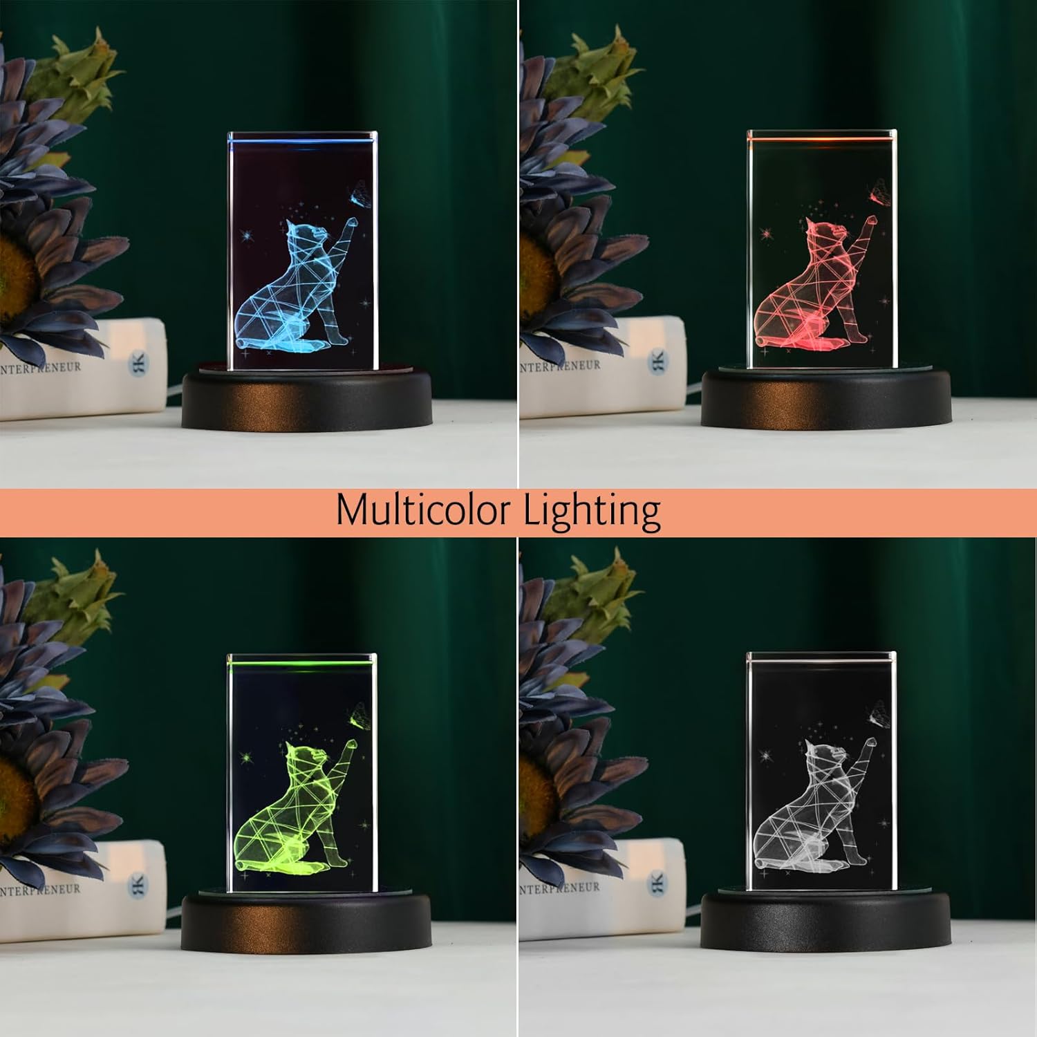 IFOLAINA Multicolor LED Light Base Display Stand Pedestal