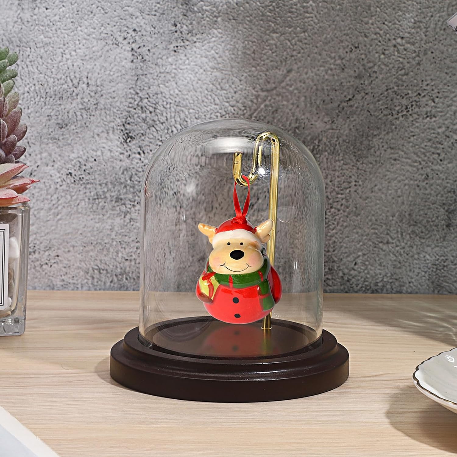 JUXYES Clear Watch Display Dome Cloche With Hook and Wooden Base