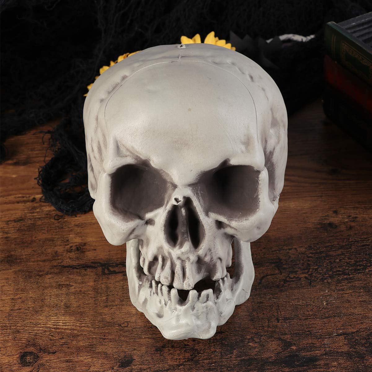 Amosfun 6PCS Halloween Skeleton Skull Head Bone Model Props